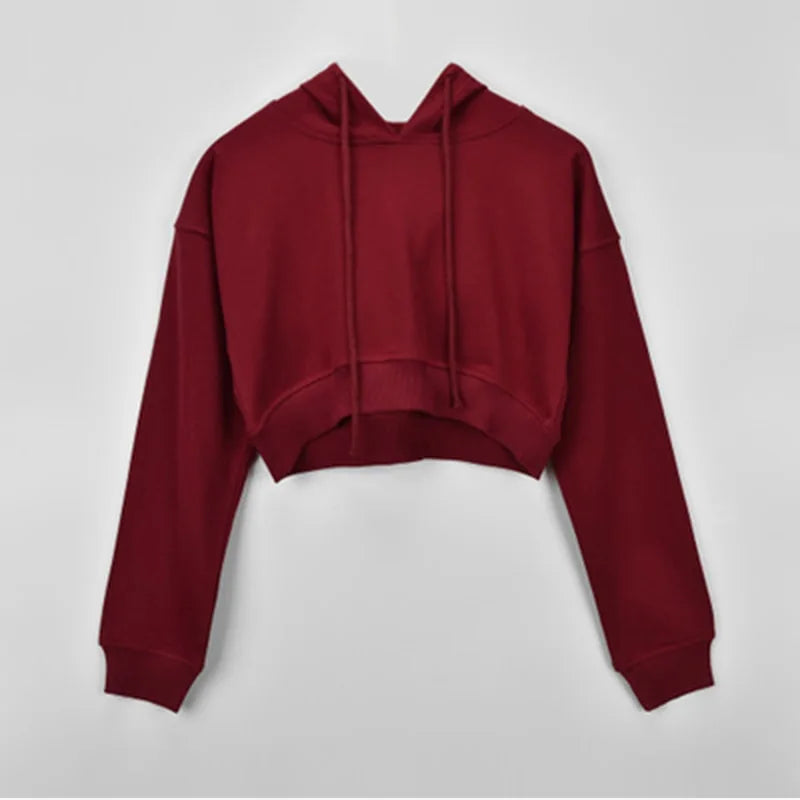 Long Sleeve Lace Up Hooded Crop Top