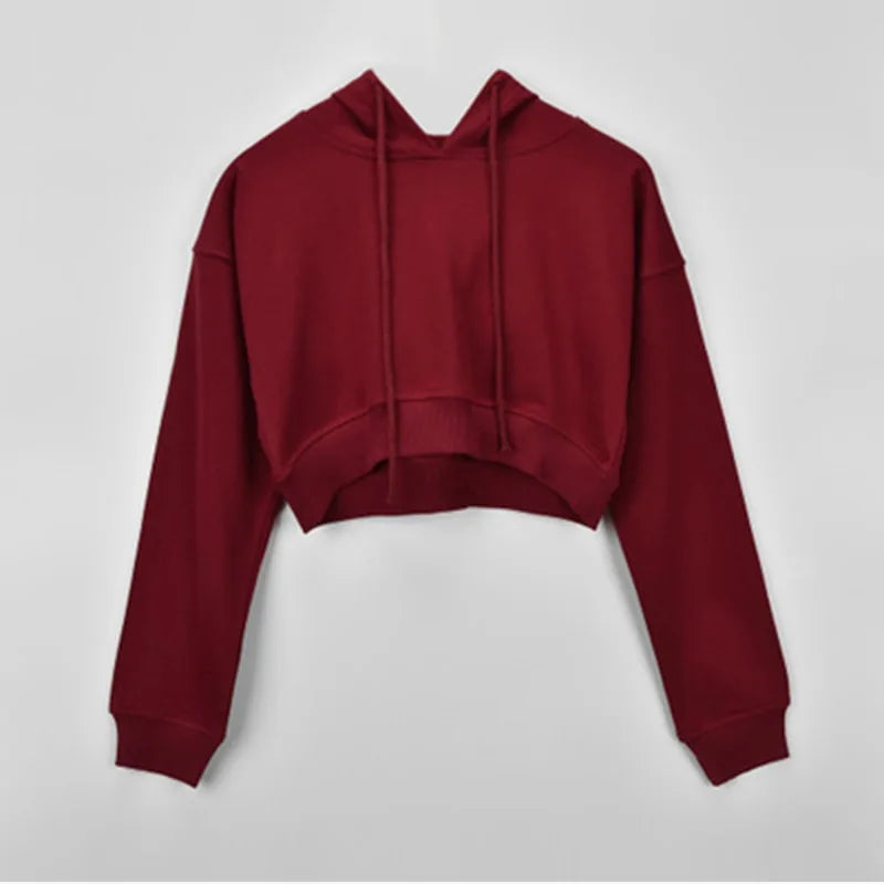 Long Sleeve Lace Up Hooded Crop Top