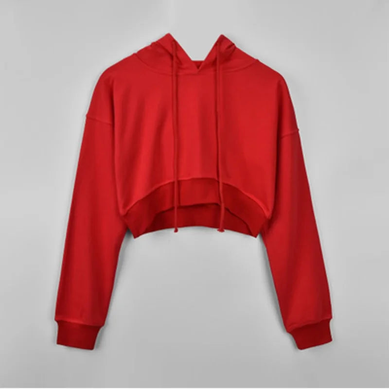 Long Sleeve Lace Up Hooded Crop Top