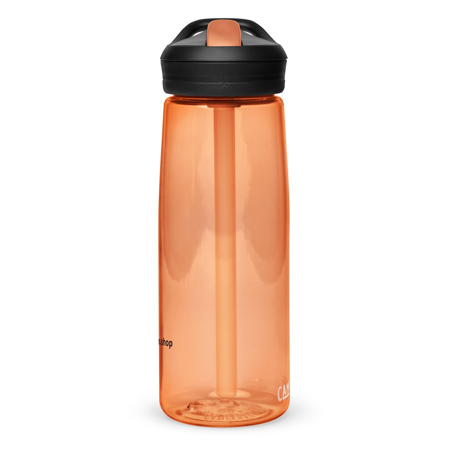 Sports water bottle
