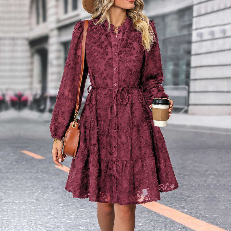 Women's Long Lace Sleeved Dress