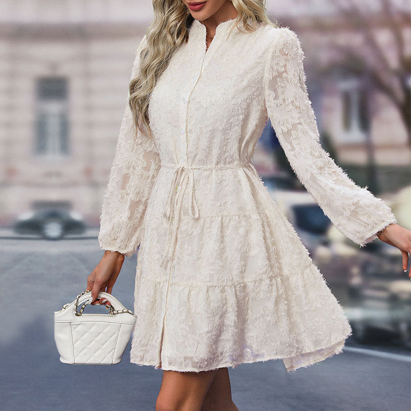 Women's Long Lace Sleeved Dress