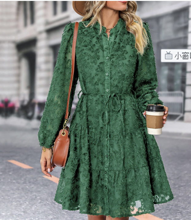 Women's Long Lace Sleeved Dress