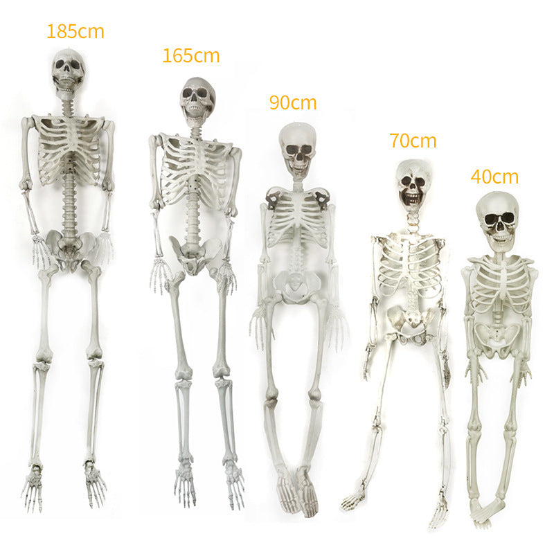 Halloween Plastic Skeleton Body 5 sizes