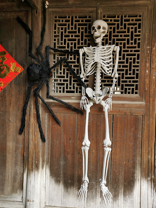 Halloween Plastic Skeleton Body 5 sizes