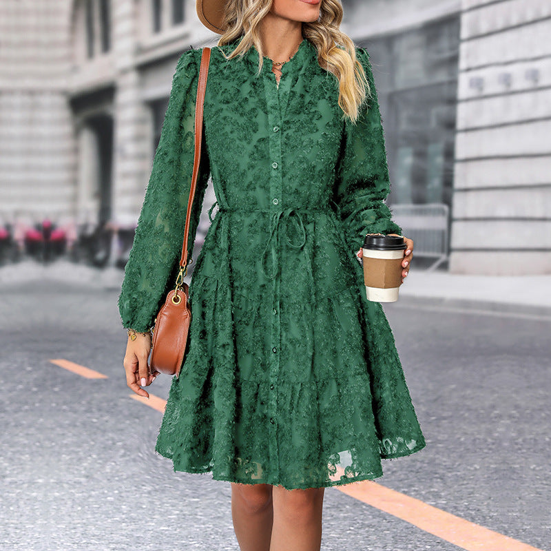 Women's Long Lace Sleeved Dress