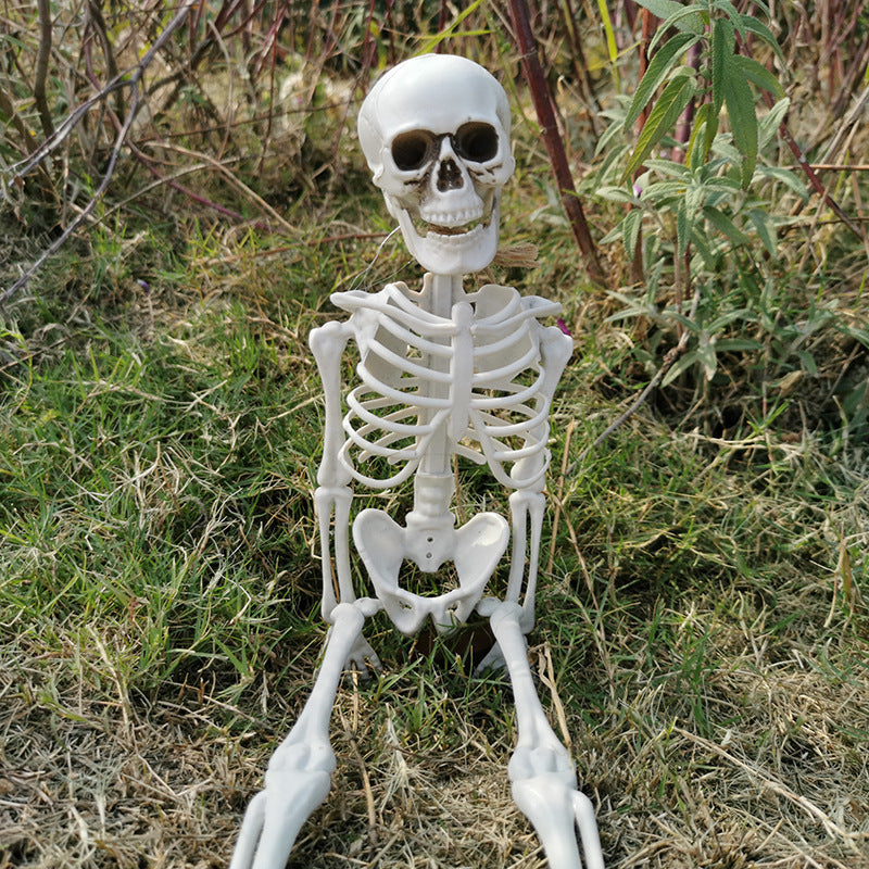 Halloween Plastic Skeleton Body 5 sizes