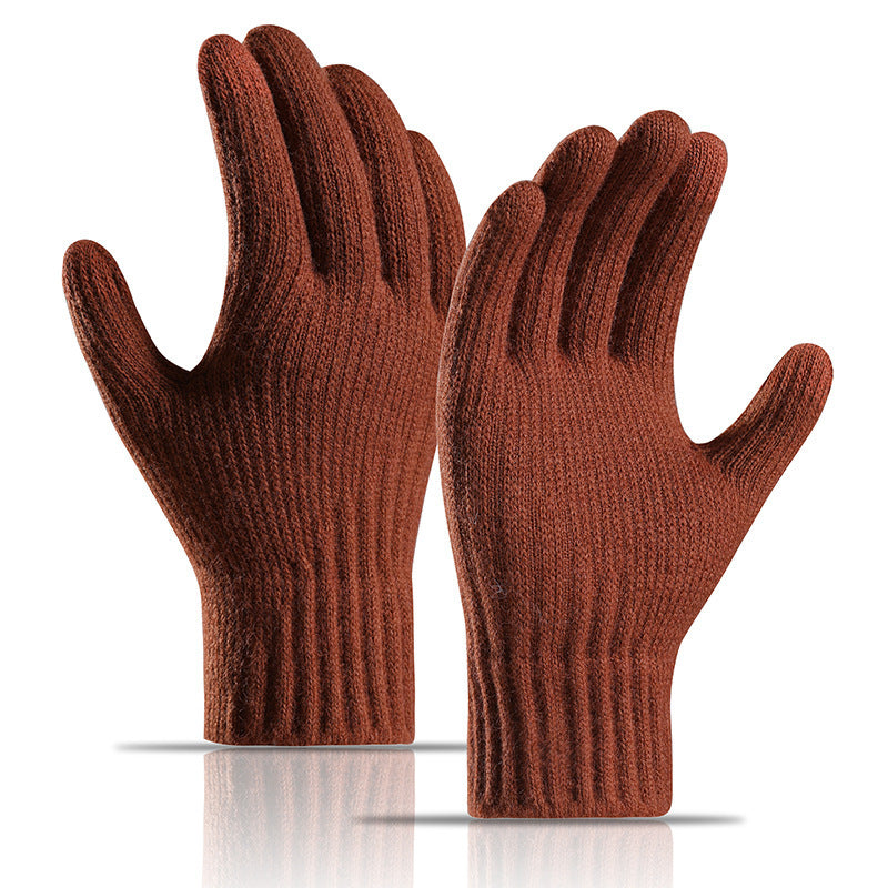 Women's Winter Fleece Lined Padded Warm Knitted Gloves