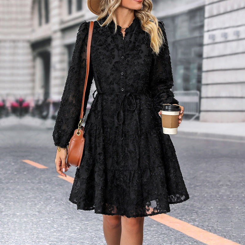 Women's Long Lace Sleeved Dress