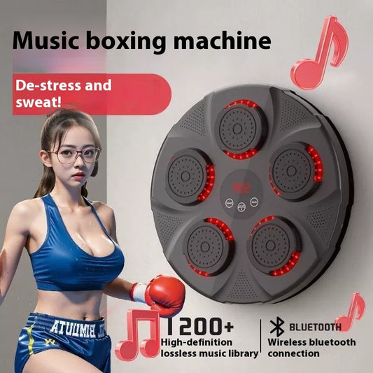 Home Fitness Intelligent Training Music Boxing Wall Target