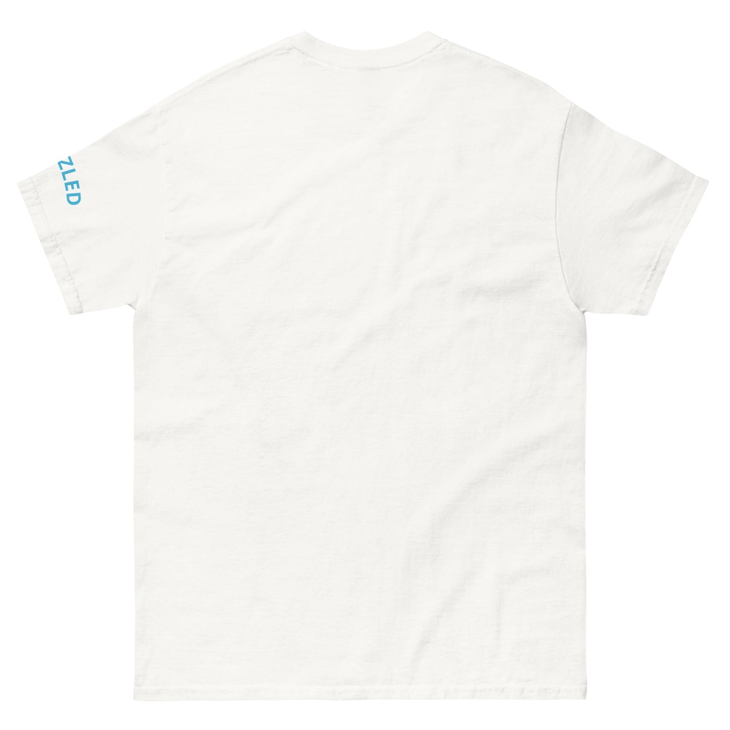 Men's classic tee